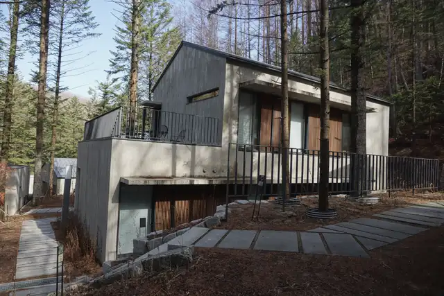 Dark-clad two-storey house among tall firs, with a long band of windows on the upper floor